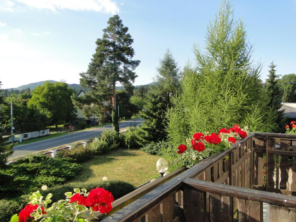 Villa Žerotín Penzion Bed&Breakfast Velké Losiny Exterior foto