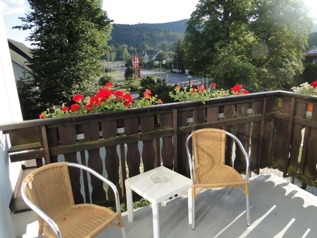 Villa Žerotín Penzion Bed&Breakfast Velké Losiny Exterior foto