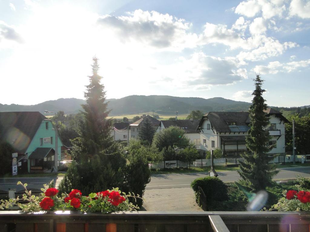 Villa Žerotín Penzion Bed&Breakfast Velké Losiny Exterior foto
